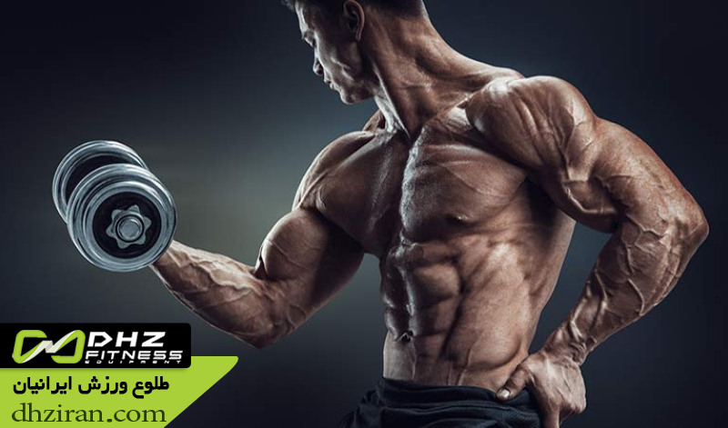 اصول بدنسازی نچرال 